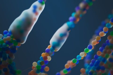 Close-up of a colorful abstract representation of DNA strands, illustrating science and genetics.
